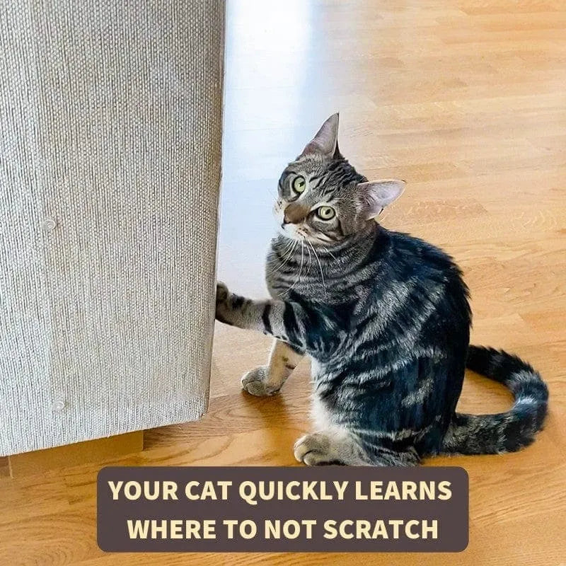 Pets Scratch Protector (4pcs)