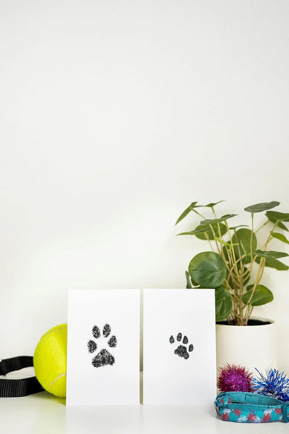 Paw Stamp Pad