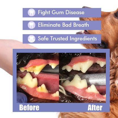 Spray per la pulizia dei denti per animali domestici