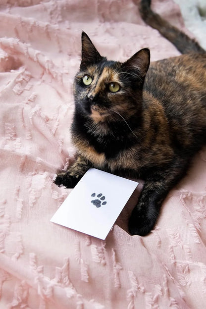 Paw Stamp Pad