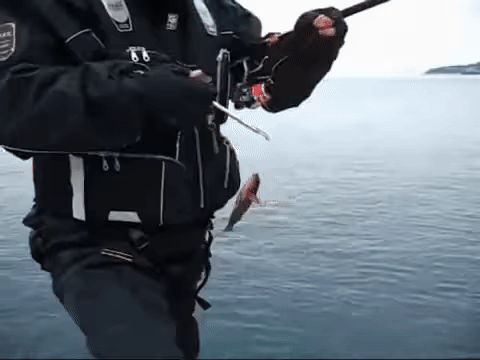 Αφαίρεση γάντζου ψαρέματος